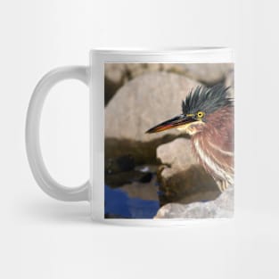 Green heron Mug